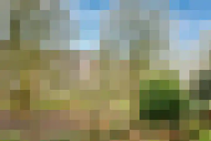 Kanteel 8 Amsterdam thumbnail 5