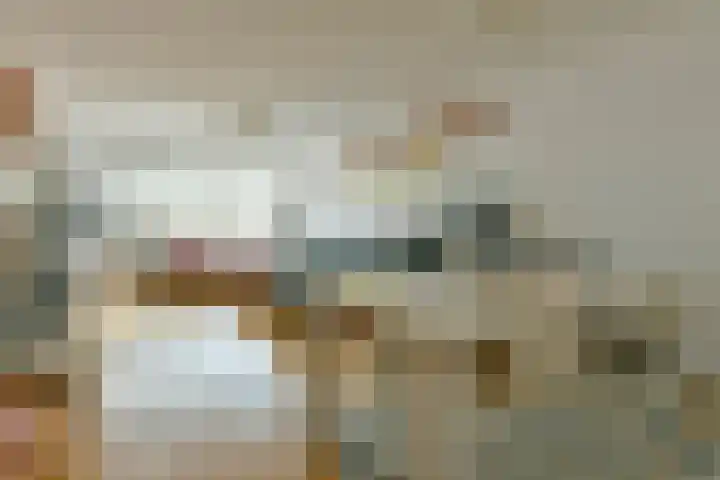 Kanteel 8 Amsterdam thumbnail 6