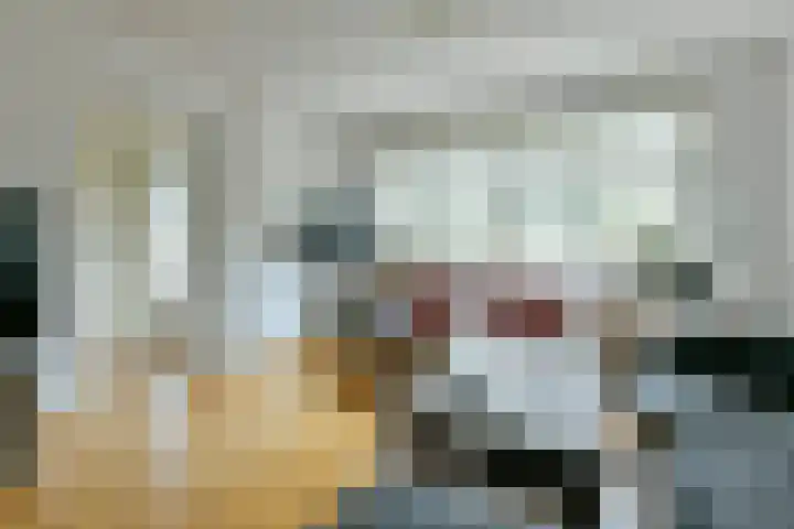 Kanteel 8 Amsterdam thumbnail 8