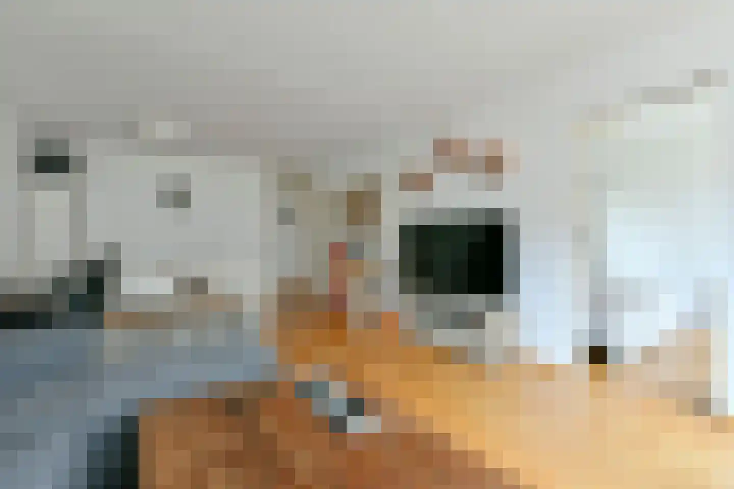 Kanteel 8 Amsterdam thumbnail 9