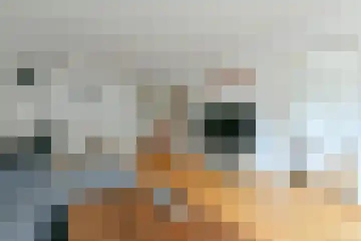 Kanteel 8 Amsterdam thumbnail 9
