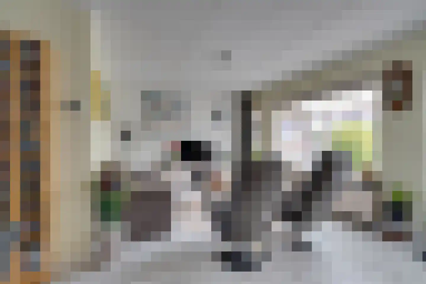 Kanteel 8 De Goorn thumbnail 10