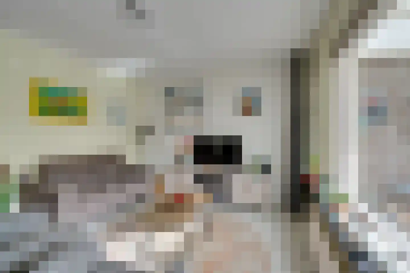 Kanteel 8 De Goorn thumbnail 14