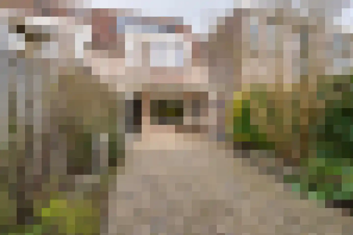 Kanteel 8 De Goorn thumbnail 26