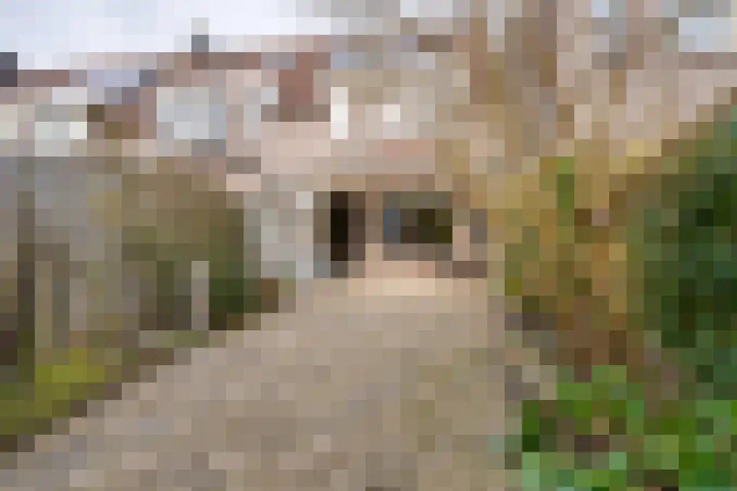 Kanteel 8 De Goorn thumbnail 27