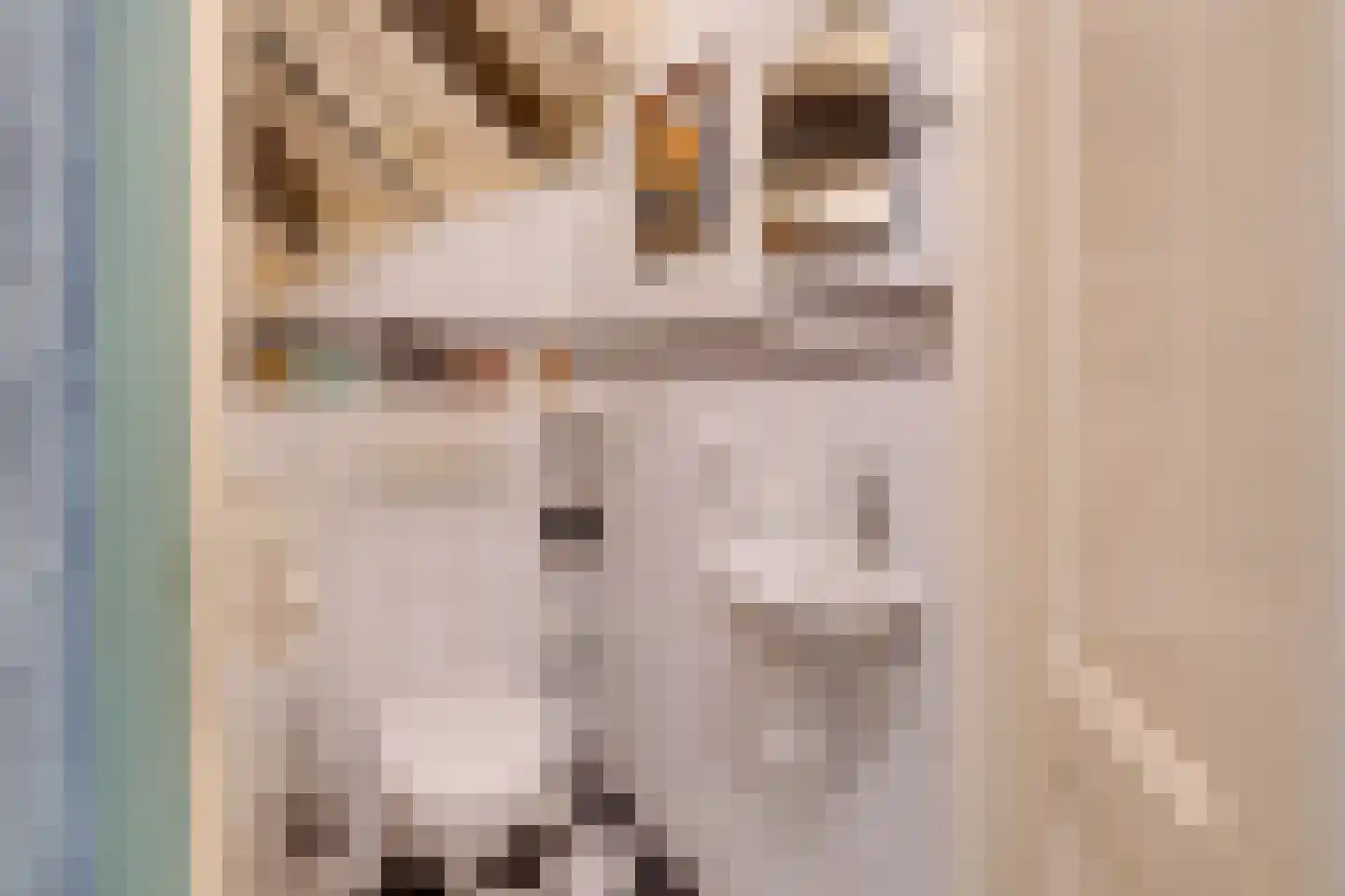 Kanteel 8 De Goorn thumbnail 29