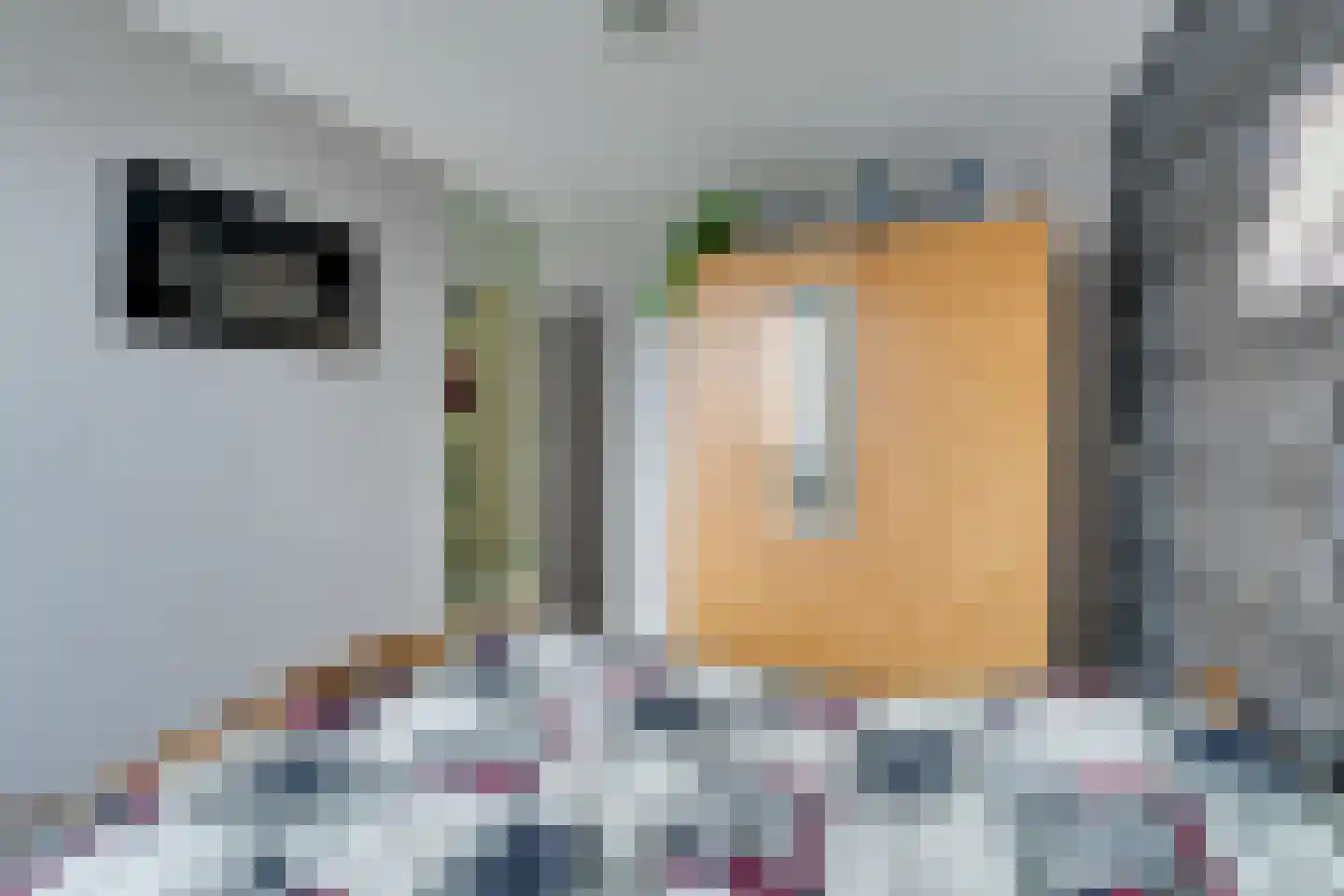 Kanteel 8 De Goorn thumbnail 35