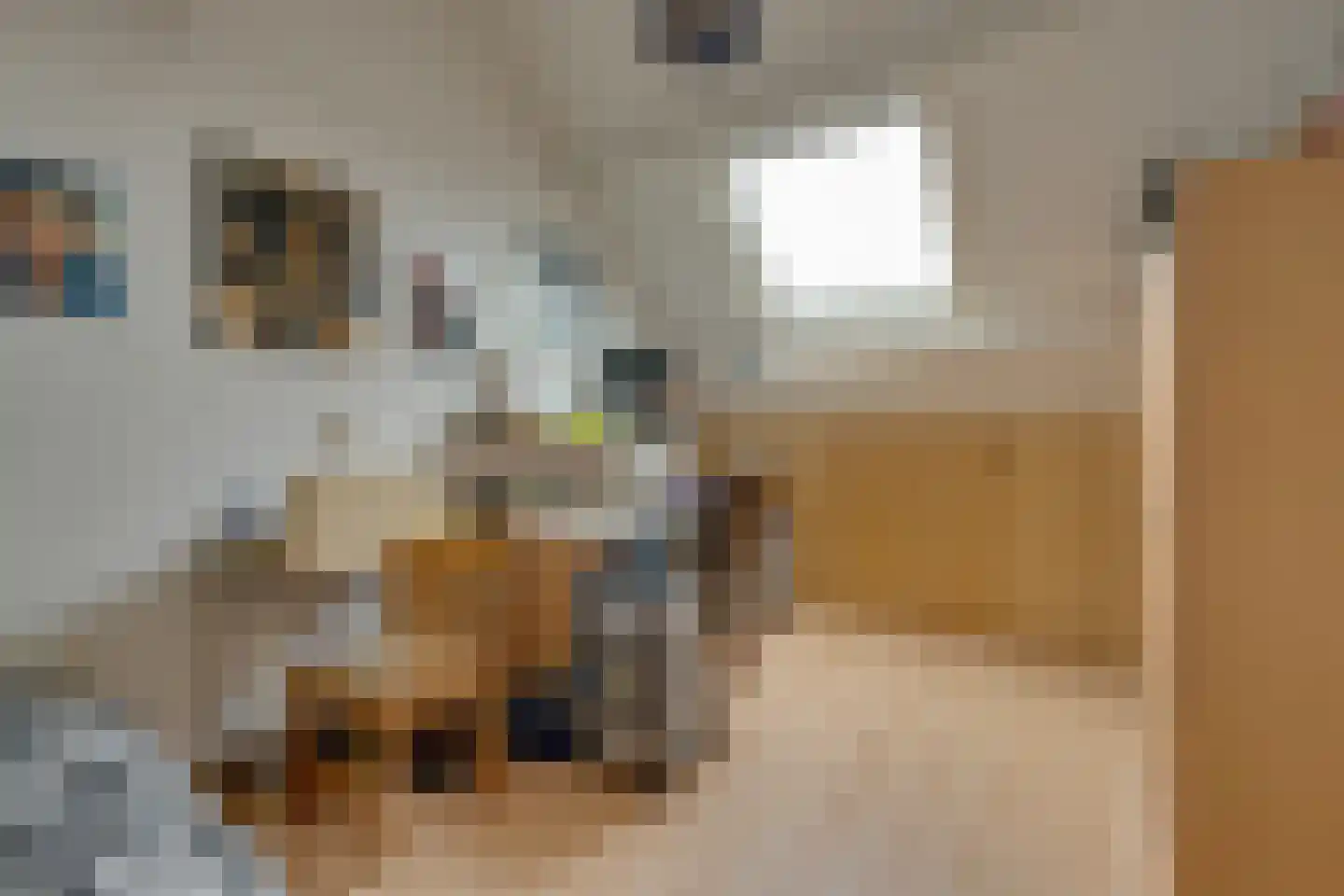 Kanteel 8 De Goorn thumbnail 41
