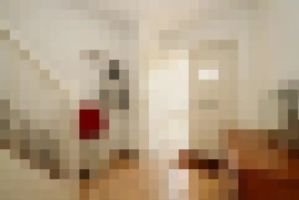 Kanteel 9 Dreumel thumbnail 13