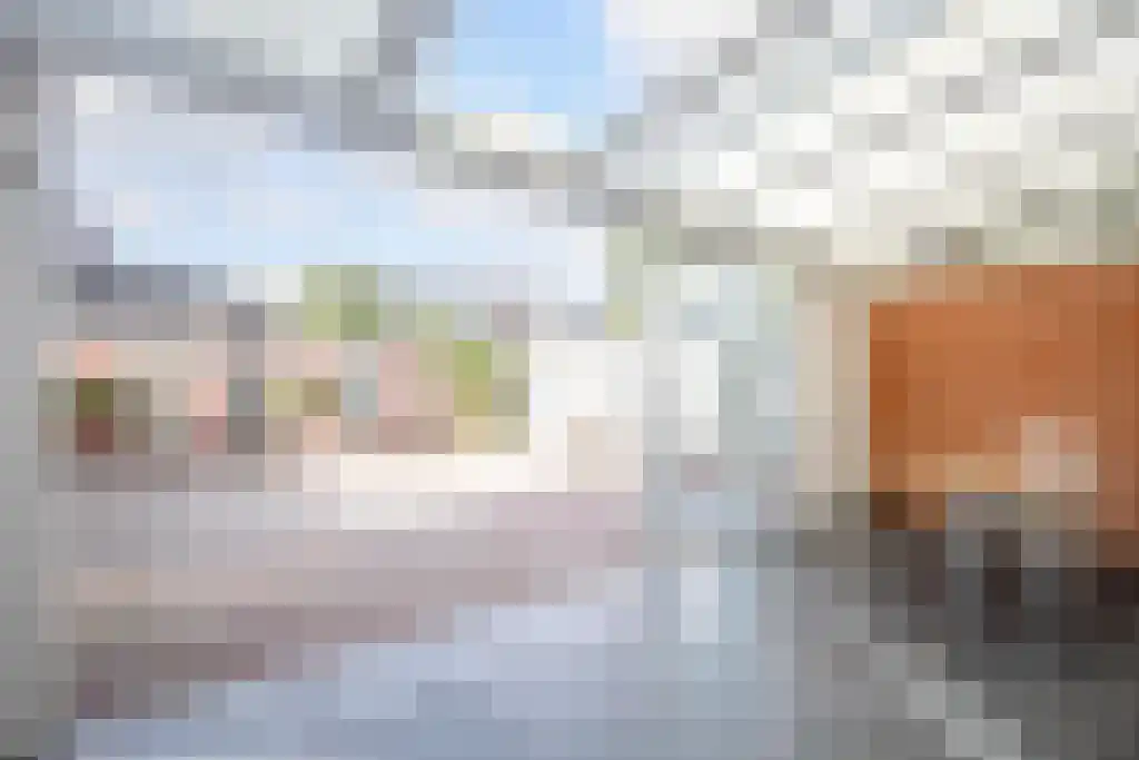 Kanteel 9 Dreumel thumbnail 25