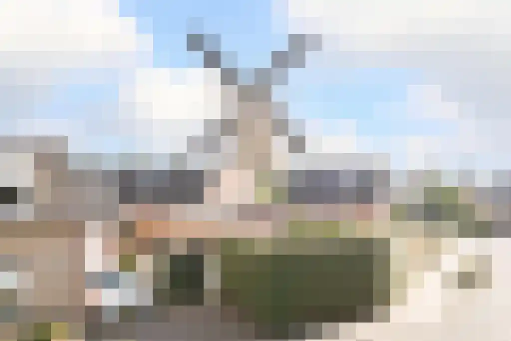 Kanteel 9 Dreumel thumbnail 31