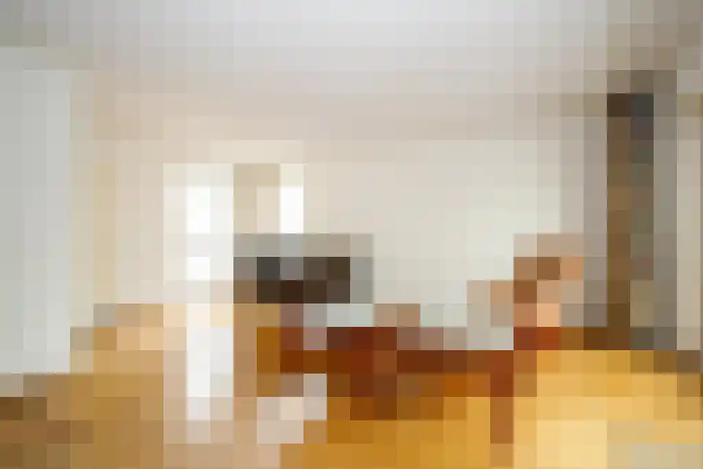 Kanteel 9 Dreumel thumbnail 5