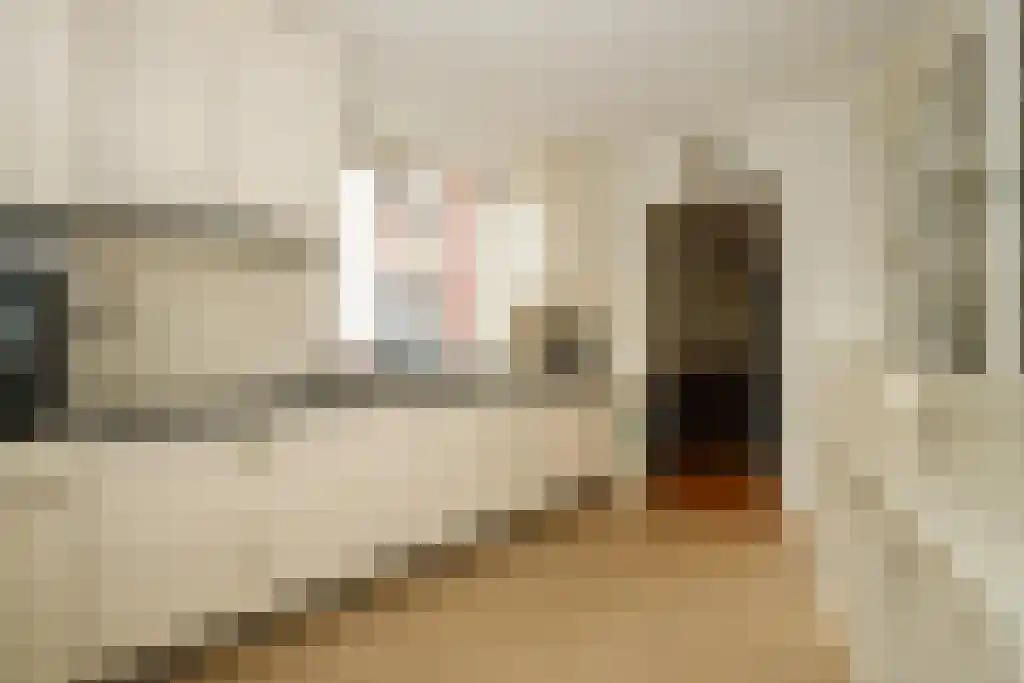 Kanteel 9 Dreumel thumbnail 8
