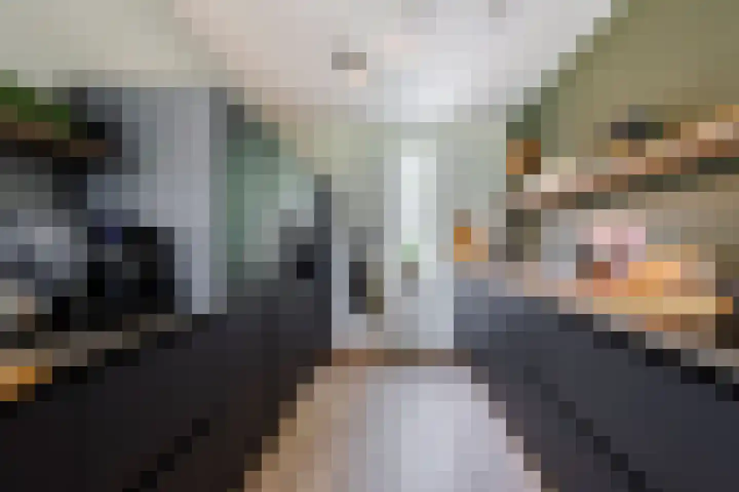Kanteelhof 9 Langerak thumbnail 4