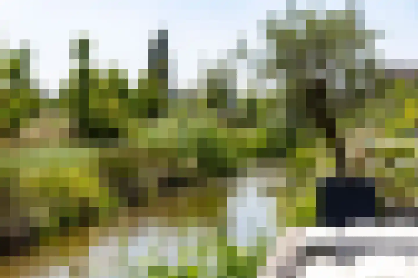 Kanteelhof 9 Langerak thumbnail 41