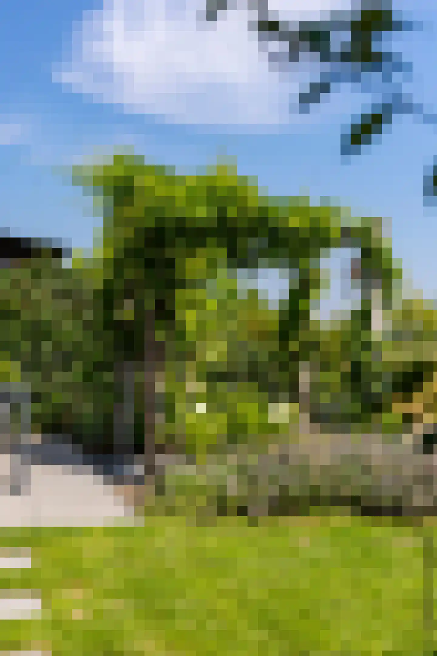 Kanteelhof 9 Langerak thumbnail 43
