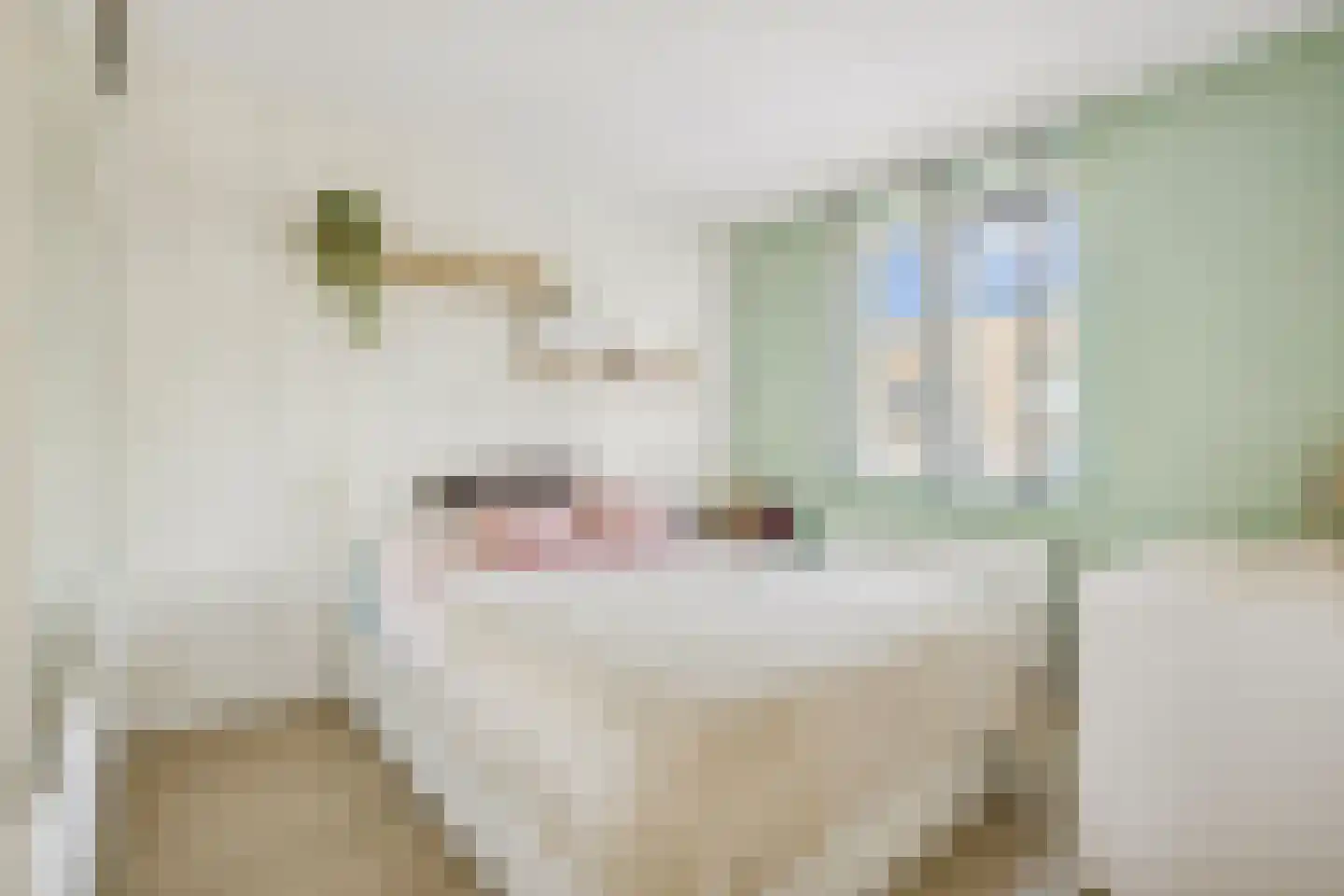Kantelenmuur 11 Houten thumbnail 13