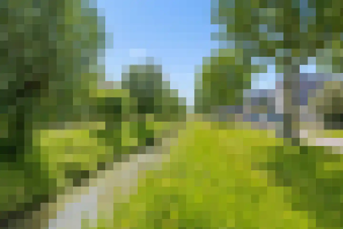 Kantelenmuur 11 Houten thumbnail 29