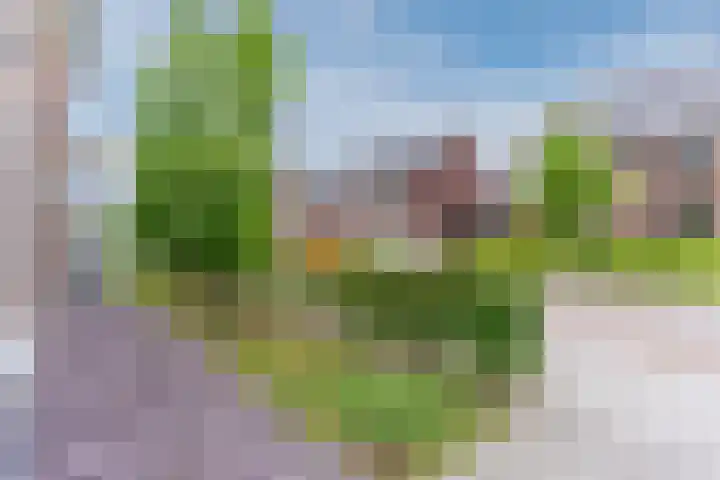 Kantelhaak 1 Best thumbnail 12