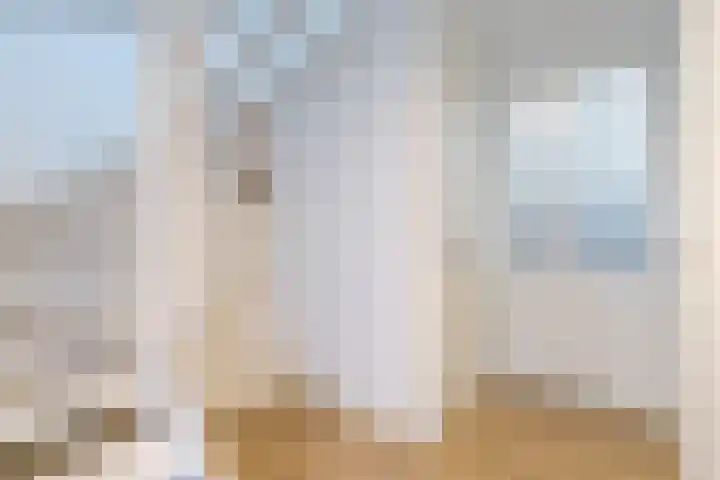 Kantelhaak 1 Best thumbnail 14