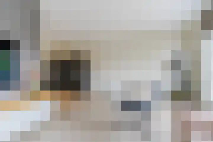 Kantelhaak 1 Best thumbnail 18