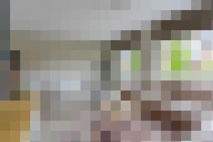 Kantelhaak 1 Best thumbnail 19