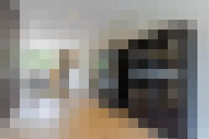 Kantelhaak 1 Best thumbnail 20