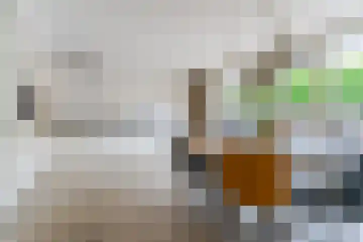 Kantelhaak 1 Best thumbnail 21