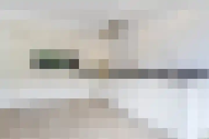 Kantelhaak 1 Best thumbnail 23
