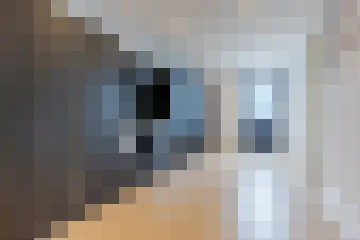 Kantelhaak 1 Best thumbnail 25