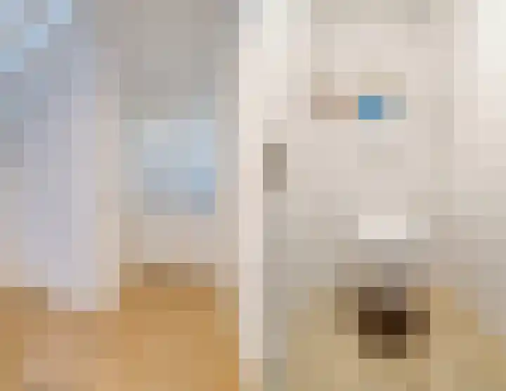 Kantelhaak 1 Best thumbnail 29
