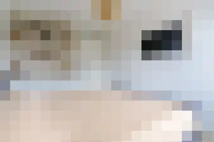 Kantelhaak 1 Best thumbnail 31