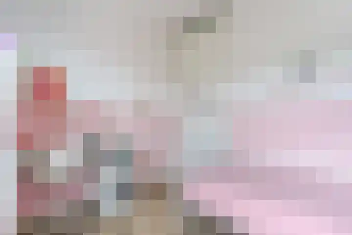 Kantelhaak 1 Best thumbnail 35
