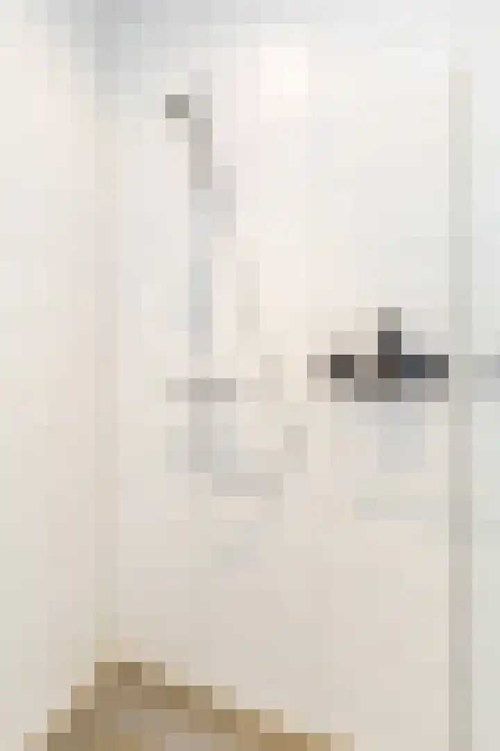 Kantelhaak 1 Best thumbnail 40