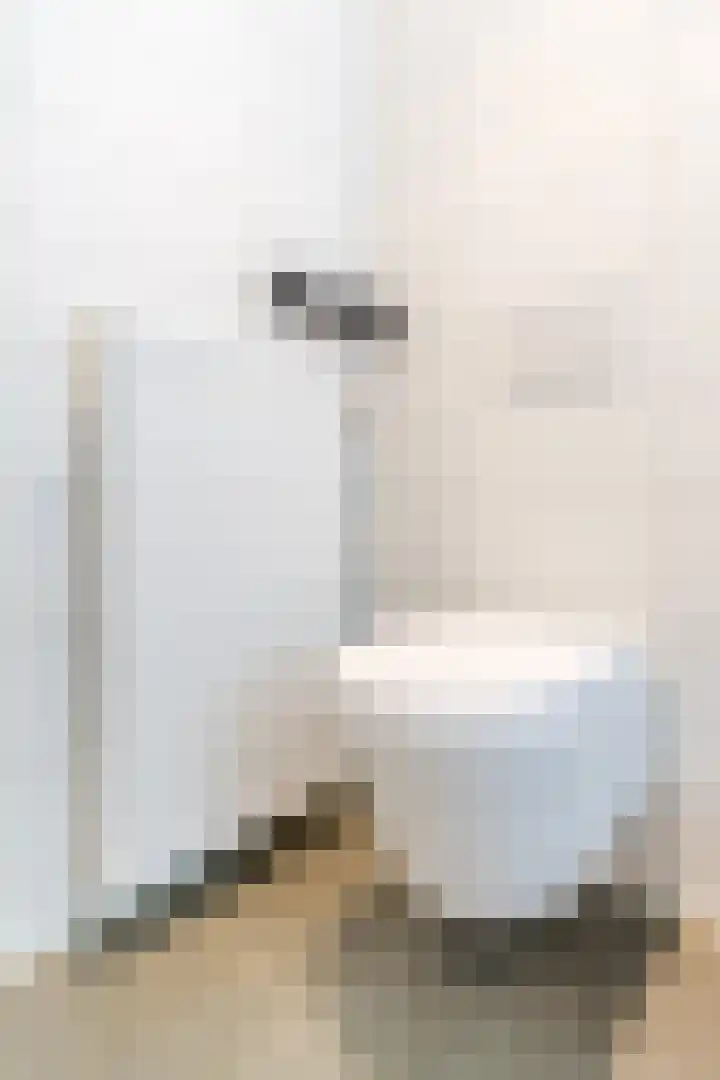 Kantelhaak 1 Best thumbnail 41