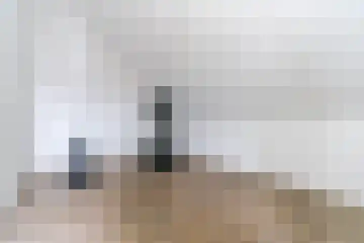 Kantelhaak 1 Best thumbnail 48