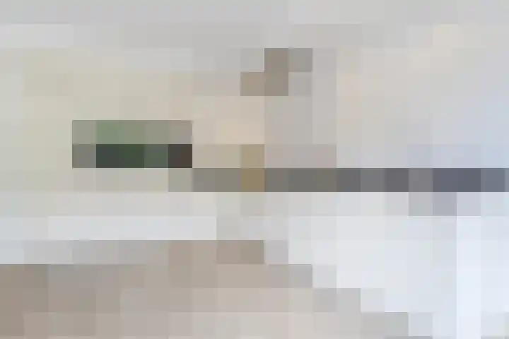 Kantelhaak 1 Best thumbnail 5