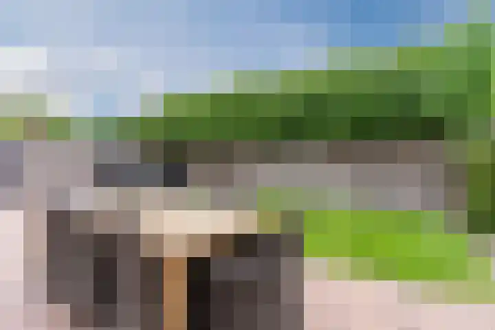Kantelhaak 1 Best thumbnail 50