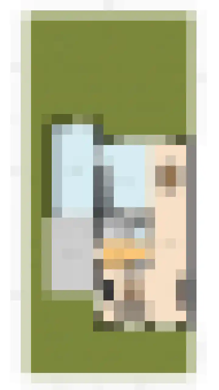 Kantelhaak 1 Best thumbnail 57