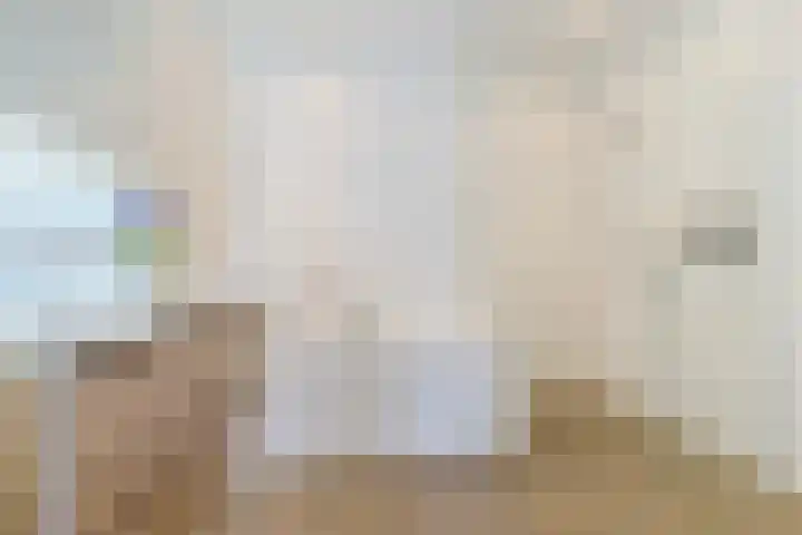 Kantelhaak 1 Best thumbnail 6
