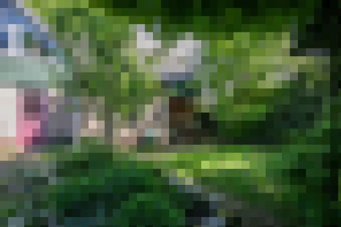 Kantemarsweg 3 Hoevelaken thumbnail 21