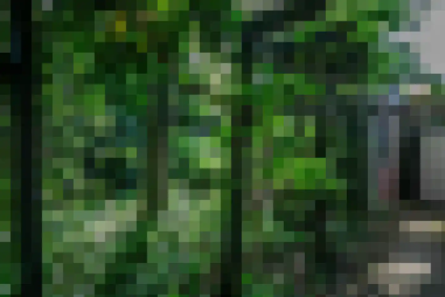 Kantemarsweg 3 Hoevelaken thumbnail 22