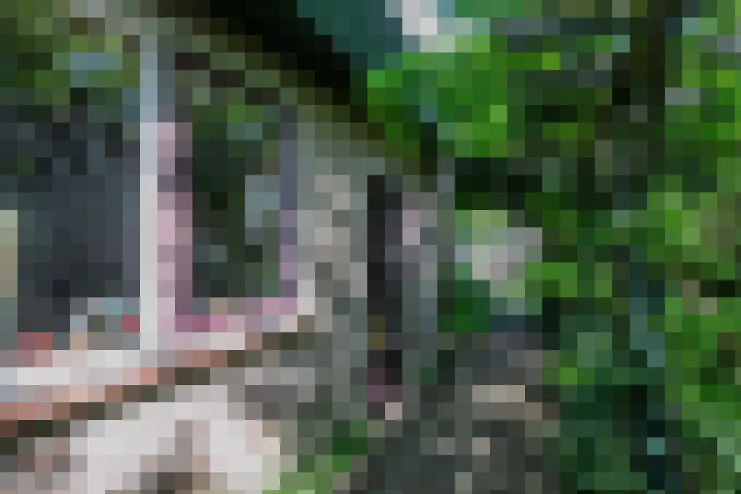 Kantemarsweg 3 Hoevelaken thumbnail 24