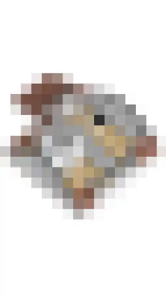 Kantemarsweg 3 Hoevelaken thumbnail 34
