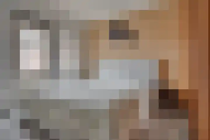 Kantemarsweg 8 a Hoevelaken thumbnail 20