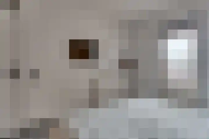 Kantemarsweg 8 a Hoevelaken thumbnail 21