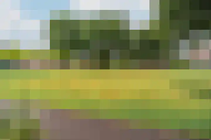 Kantemarsweg 8 a Hoevelaken thumbnail 25