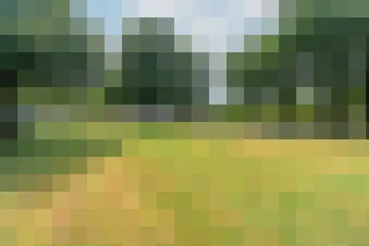 Kantemarsweg 8 a Hoevelaken thumbnail 26
