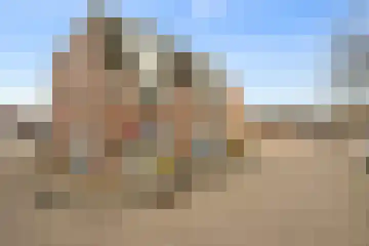 Kantemarsweg 8 d Hoevelaken thumbnail 18