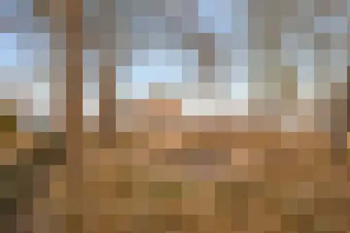 Kantemarsweg 8 d Hoevelaken thumbnail 22